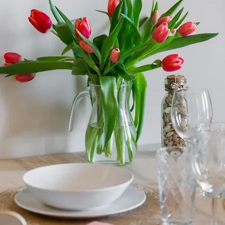 Apartment Pet-friendly With Air Conditioning Jagiellonska By Renters Darlowo